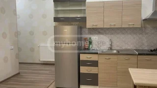 2-комнатная квартира в Тёмке