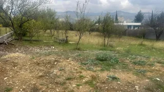 Участок на продажу. Диди Дигоми