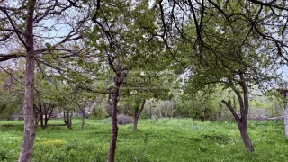 Земельный участок несельскохозяйственного назначения в Табахмеле