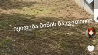 Земля на продажу. Наджаладеви