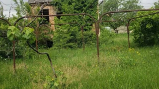 Land For Sale. Digomi village