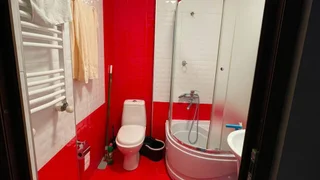 1+1 на ул. Пиросмани, 16А, $400