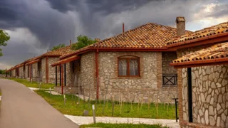 Вилла с виноградником в Кахетии, $400 000