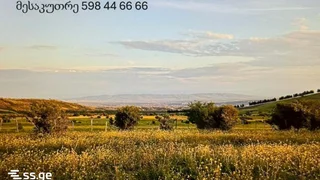 Land For Sale. Varketili