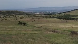 Земля на продажу. Варкетили