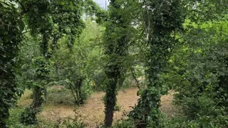 Земля. Ивертубани