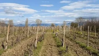 Земля на продажу. Авлабари