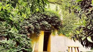Commercial real estate for sale. Chugureti