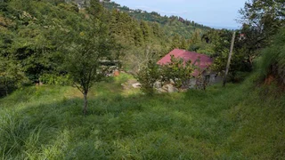 Земельный участок, 5181 м²