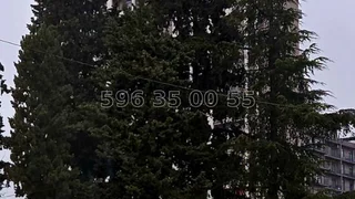 4 room Flat For Rent. Saburtalo