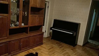 3-комнатная квартира. Мухьяни
