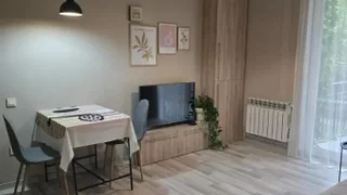 2 room Flat For Rent. Saburtalo