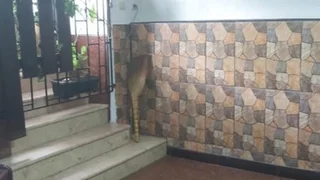 Коммерческое помещение Сдаётся