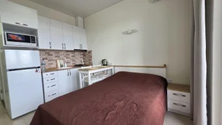 Гумбати в Хейвани: Студия, 28,0 м²