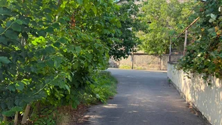 Земля. Ортачала