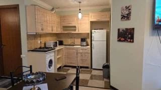 1+1 ул. Пиросмани, 16а, $450