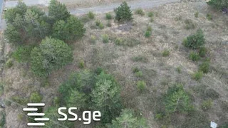 Land For Sale. Lisi lake