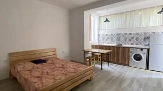 1-комнатная квартира сдаётся. Вера