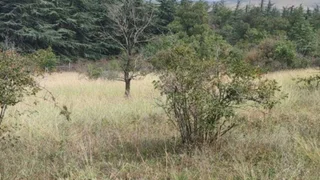 Land For Sale. Ivertubani