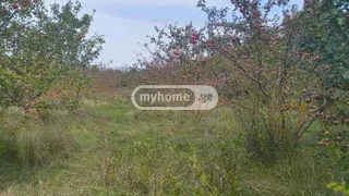 Земля на продажу. Сабуртало