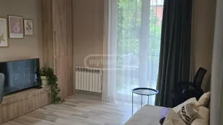 2 room Flat For Rent. Saburtalo
