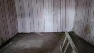 3-комнатный частный дом. Чугурети