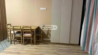 1-комнатная квартира в Тбилиси