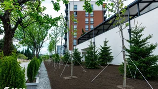 2-комнатная квартира в Тбилиси