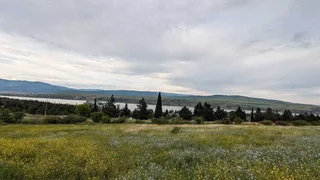 Land For Sale. Tbilisi sea