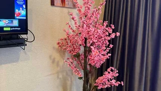 2 room Flat Daily rent. Nadzaladevi