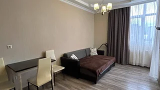 1+1 на ул. Инасаридзе, 16А, $450