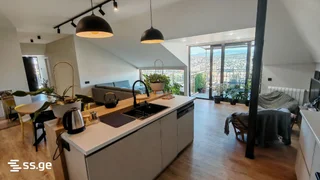 4 room Private House For Rent. Mtatsminda