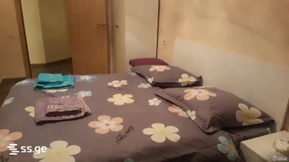 2 room Flat Daily rent. Nadzaladevi