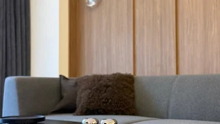 2-комнатная квартира в Тбилиси