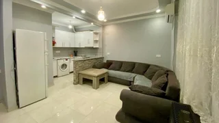 1+1, 55 кв.м на ул. Багратиони 161, $450