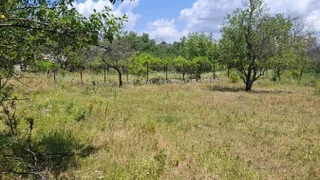 Участок земли на продажу. Посёлок Дигоми