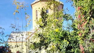 Земля на продажу. Авчала