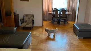 Коммерческое помещение на Avto Varazi st. Lisi lake