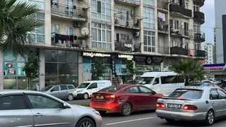 2-комнатная квартира (1+1) на ул. Багратиони, зеленый каркас