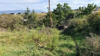 Земли в Мухиани