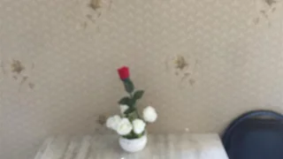 2 room Flat daily rent. Saburtalo