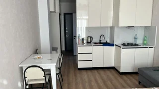 1-комнатная квартира в Тбилиси