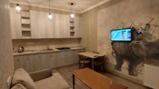Коммерческое помещение на პეტრე იბერის ქუჩა 14ა Didi digomi