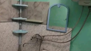 1-комнатная квартира сдаётся. Санзона