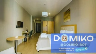 Студия на Ангиса, 33 м²