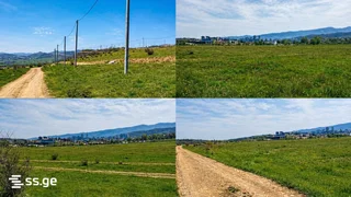 Земля. Озеро Лиси