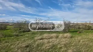 Земля на продажу. Лило