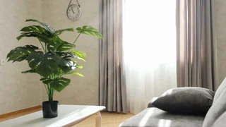 Квартира Мэри, уютная