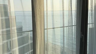 Вид из : Студия, 43,0 м²