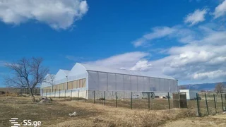 Земля на продажу. Лило